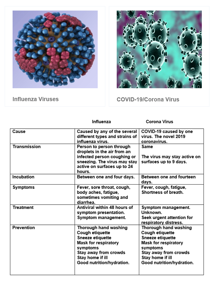 Influenza and COVID-19 or Corona Virus